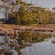 Birds wading in the waters of Ahuriri Estuary